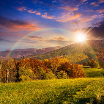 yellow and orange trees on autumn meadow in mountains at sunset with rainbow