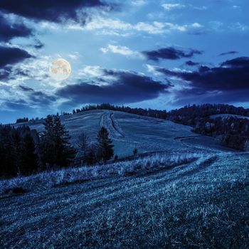 hillside of mountain range with coniferous and mixed autum forest at night in fool moon light