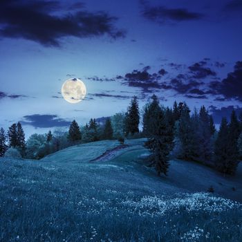 path on a slope of mountain range with coniferous forest at night in full moon light