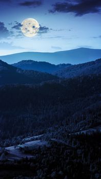 hill of mountain range with fir forest in autumn at night in full moon light