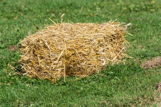 A small bales of straw on a green field.