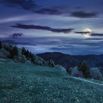 mountain summer landscape. trees near meadow with dandelions in grass on hillside at night in full moon light
