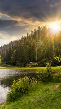 view on lake near the pine forest early in the morning on mountain background