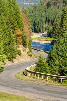 asphalt road going off into the distance on the left, passes through the green shaded forest