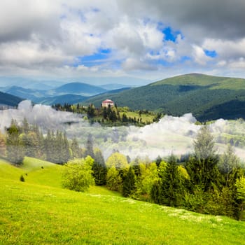 summer landscape. village on the mountain hillside with  forest in fog