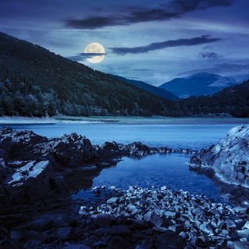 view on lake with rocky shore and some boulders near pine forest on mountain  with high vista far away at night in full moon light