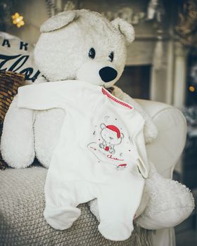 Bear Teddy on the armchair with baby sliders