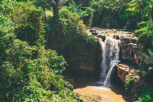 Small waterfall in the forest - Bali, Indonesia