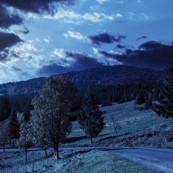 asphalt road going  passes through the autumn forest in mountain at night in full moon light