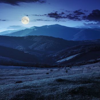 Stacks of hay on a green meadow on hillside  in mountains at night in full moon light
