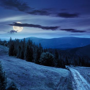 pine trees near the path through meadow  on the hillside. forest in haze on the far mountain at night in full moon light