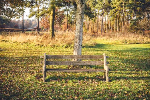 Empty bench in a park in the fall with autumn leaves in the grass and trees in the background