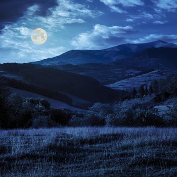 meadow on hillside near forest in mountains at night in full moon light