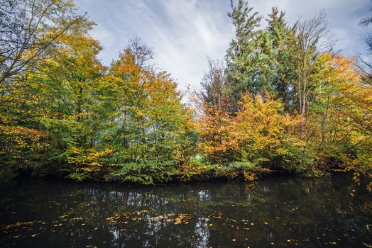 Autumn landscape with colorful trees in the fall by a dark river with autumn leaves in the water in the fall