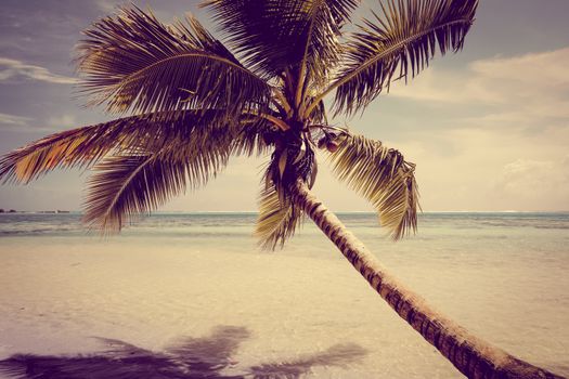 Paradise tropical beach and lagoon in Moorea Island. French Polynesia