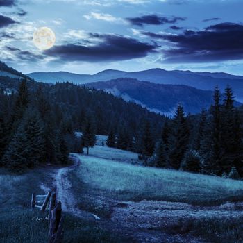 composit landscape. fence near the meadow path on the hillside. forest in fog on the mountain at night in full moon light