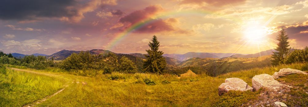 pnoramic collage  landscape. boulders on the meadow with path on the hillside and two pine trees on top of mountain range in sunset light with rainbow