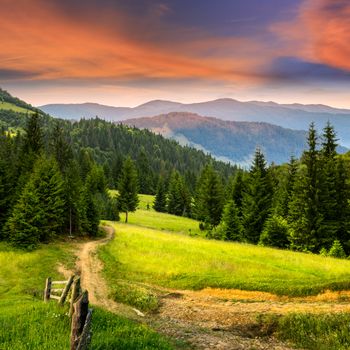 composit landscape. fence near the meadow path on the hillside. forest in fog on the mountain at red sunrise