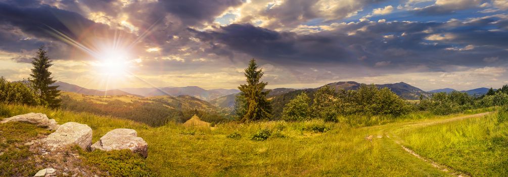 pnoramic collage  landscape. boulders on the meadow with path on the hillside and two pine trees on top of mountain range in sunset light