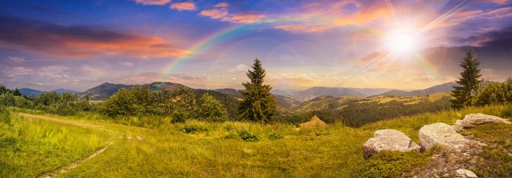 pnoramic collage  landscape. boulders on the meadow with path on the hillside and two pine trees on top of mountain range in sunset  with rainbow