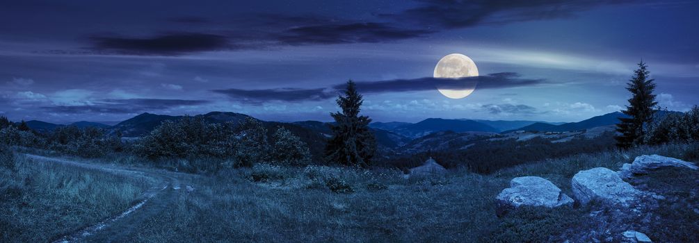 pnoramic collage  landscape. boulders on the meadow with path on the hillside and two pine trees on top of mountain range at night in full moon light