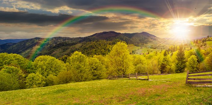 summer panorama landscape. fence near the meadow path on the hillside. forest in fog on the mountain in sunset light with rainbow