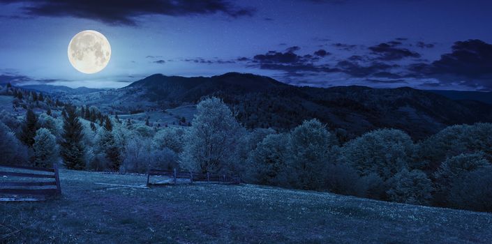 summer panorama landscape. fence near the meadow path on the hillside. forest in fog on the mountain at night in full moon light