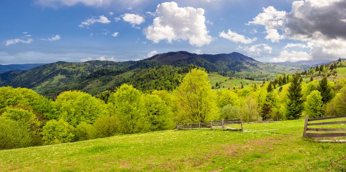 summer panorama landscape. fence near the meadow path on the hillside. forest in fog on the mountain