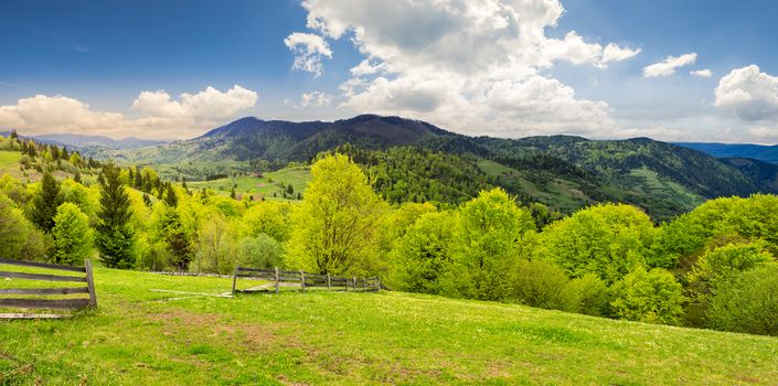 summer panorama landscape. fence near the meadow path on the hillside. forest in fog on the mountain