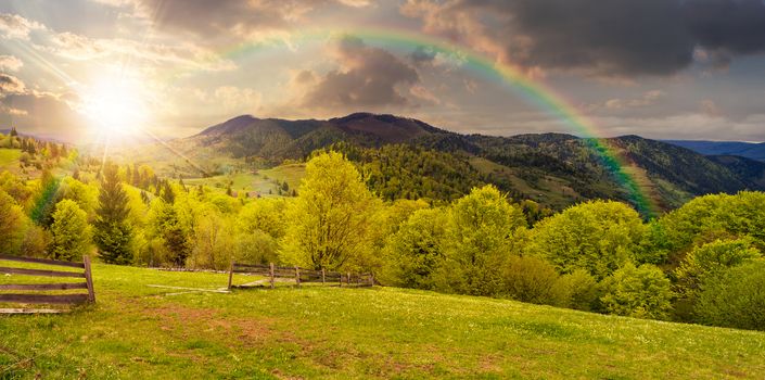 summer panorama landscape. fence near the meadow path on the hillside. forest in fog on the mountain in sunset light with rainbow