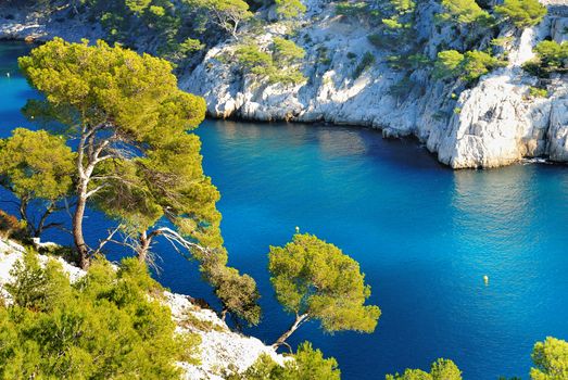 Calanques of Port Pin in Cassis in France near Marseille