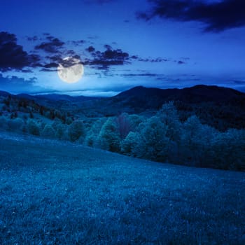 summer landscape. green grass on  hillside meadow. forest in fog on the mountain at night in moon light
