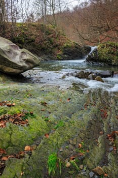 boulder near mountain river with  in the forest near the mountain slope