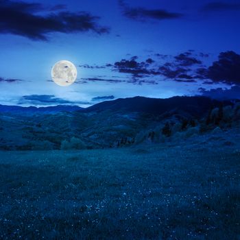 mountain summer landscape. trees near meadow and forest on hillside at night in moonlight