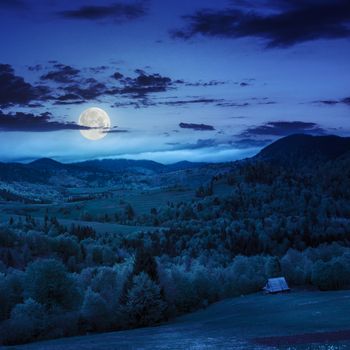 summerlandscape.  meadow and trees on the hillside. forest in fog on the mountain at night in moon light