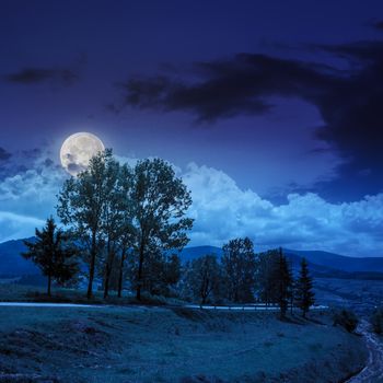 asphalt road going off into the distance and  passes through the green shaded forest to town at night in moon light