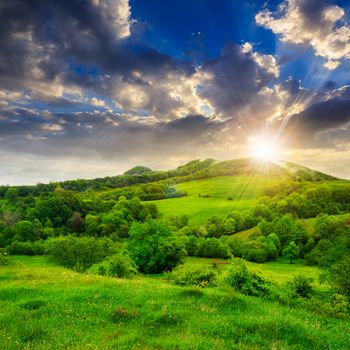 forest near meadow in mountain summer landscape at sunset