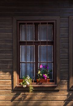 window with grate and flowers  on a wooden wall