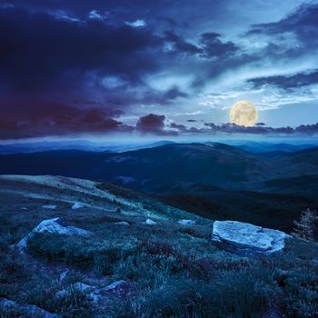 Massive boulders among wild plants on the hillside in high mountains at night in full moon light