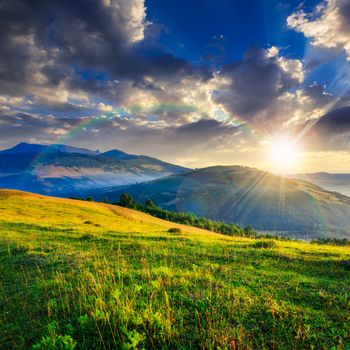 cold fog on meadow with grass and flowers in the mountains near the forest at sunset