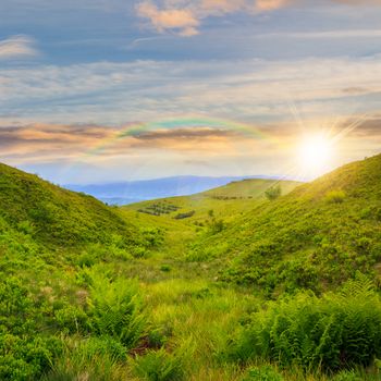 high wild grass  at the top of the mountain at sunset with rainbow