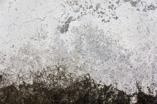 Old  plaster on the wall. Grunge concrete texture. Retro texture. Distress Texture.