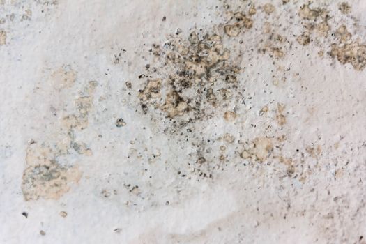 Old  plaster on the wall. Grunge concrete texture. Retro texture. Distress Texture.