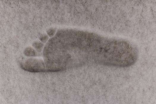 Barefoot right footprint of adult male on fluffy white snow.