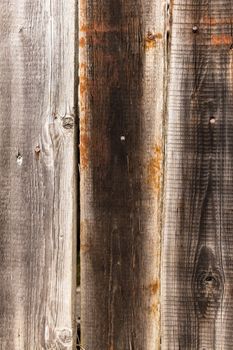Weathered pine boards texture or background. Old wooden planks. Rusty iron nails.