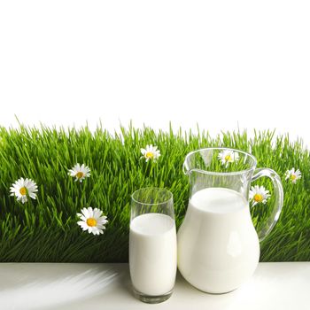 Milk jug and glass on fresh green grass with chamomiles isolated on white