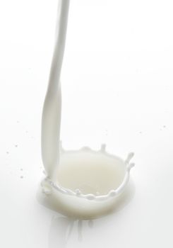 Pouring milk splash on white background macro