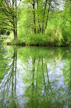 Landscape with trees, reflecting in the water