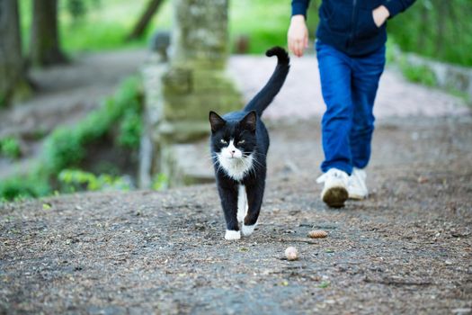 Girl and cat are walking together