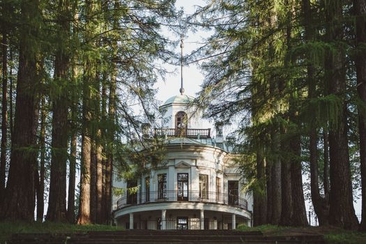 beautiful Homestead in the woods